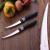 Фото товара Набір ножів для томатів TRAMONTINA COR&COR, 102 мм, 2 шт.