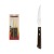 Фото товара Набір ножів для стейка TRAMONTINA Barbecue Polywood, 101.6 мм