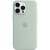 Фото товара Чохол Apple iPhone 14 Pro Max Sil.Case/MagSafe/Succulent (MPTY3)