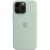 Фото товара Чохол Apple iPhone 14 Pro Max Sil.Case/MagSafe/Succulent (MPTY3)
