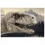 Фото товара Пазл міні Dodo Jurassic Park, 35 шт (200391)