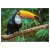Фото товара Пазл Dodo Птах Тукан, Бразилія, 500 шт (300400)